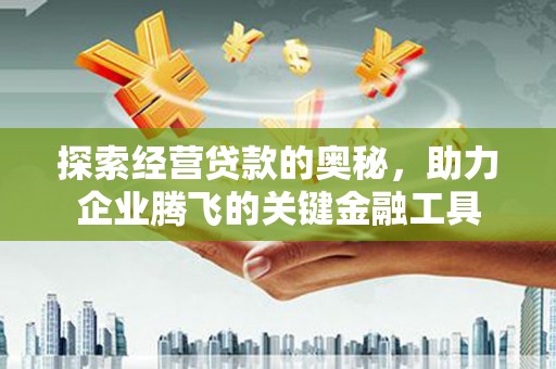 柳南探索经营贷款的奥秘，助力企业腾飞的关键金融工具