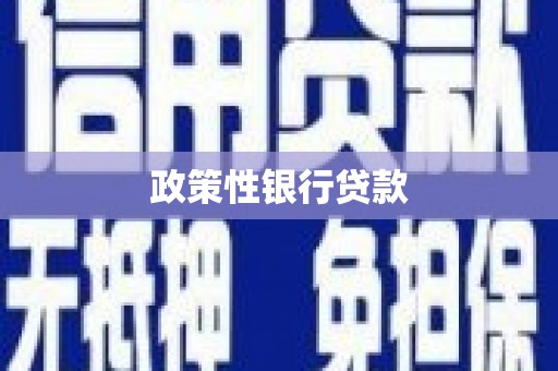 柳南政策性银行贷款