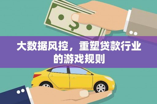 柳南大数据风控，重塑贷款行业的游戏规则