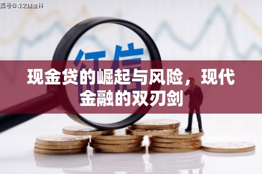 柳南现金贷的崛起与风险，现代金融的双刃剑