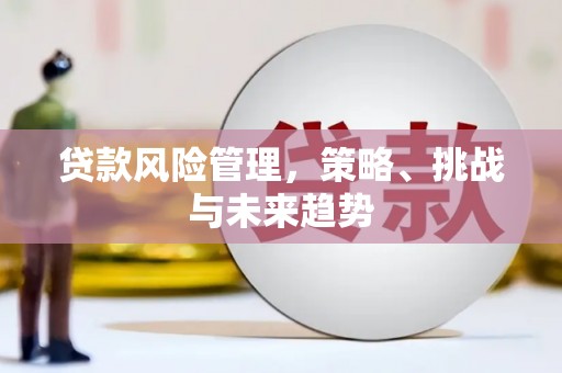 柳南贷款风险管理，策略、挑战与未来趋势