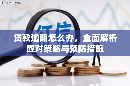 柳南贷款逾期怎么办，全面解析应对策略与预防措施