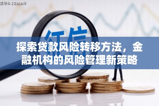 柳南探索贷款风险转移方法，金融机构的风险管理新策略