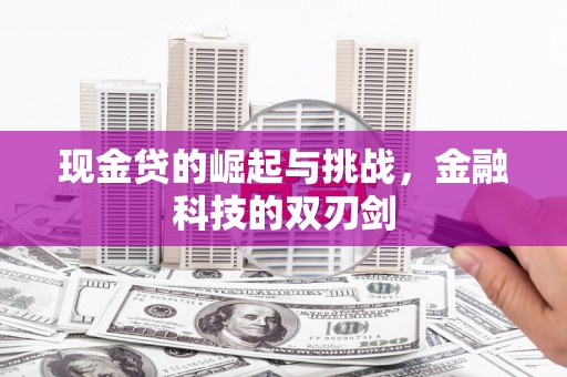 柳南现金贷的崛起与挑战，金融科技的双刃剑