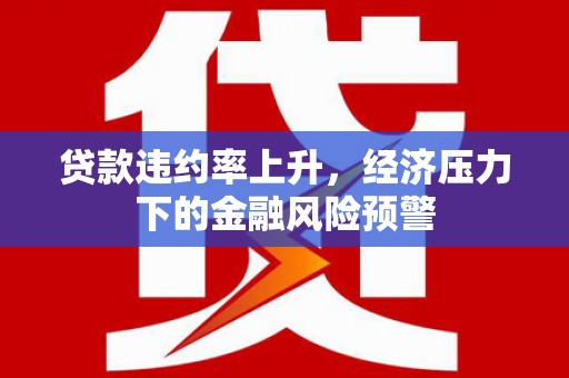 柳南贷款违约率上升，经济压力下的金融风险预警