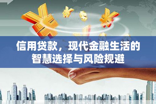 柳南信用贷款，现代金融生活的智慧选择与风险规避