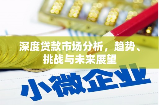 柳南深度贷款市场分析，趋势、挑战与未来展望
