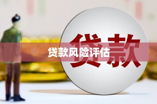 柳南贷款风险评估