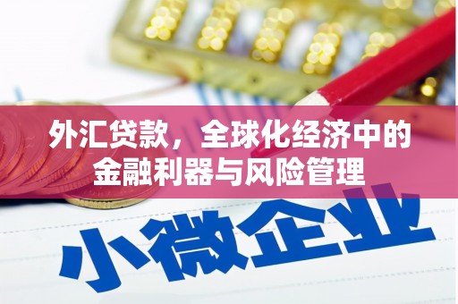 柳南外汇贷款，全球化经济中的金融利器与风险管理