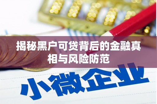 柳南揭秘黑户可贷背后的金融真相与风险防范