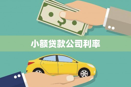 柳南小额贷款公司利率