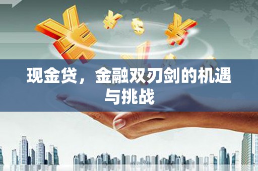 柳南现金贷，金融双刃剑的机遇与挑战