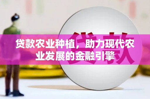 柳南贷款农业种植，助力现代农业发展的金融引擎