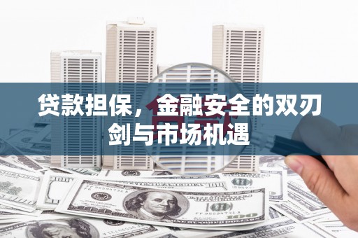 柳南贷款担保，金融安全的双刃剑与市场机遇