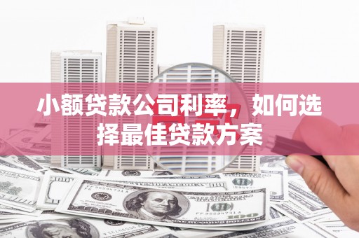 柳南小额贷款公司利率，如何选择最佳贷款方案