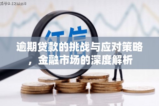柳南逾期贷款的挑战与应对策略，金融市场的深度解析