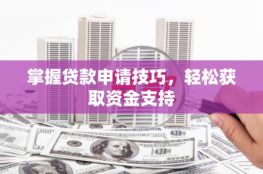 柳南掌握贷款申请技巧，轻松获取资金支持