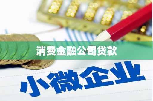 柳南消费金融公司贷款