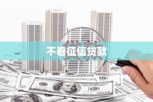 柳南不看征信贷款
