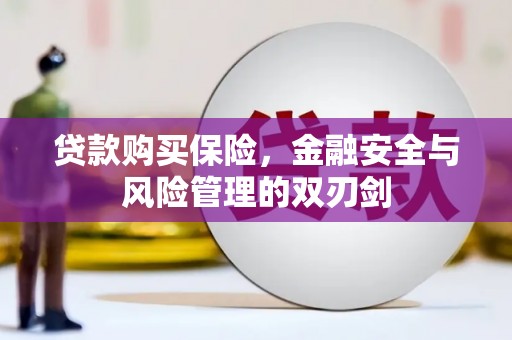 柳南贷款购买保险，金融安全与风险管理的双刃剑