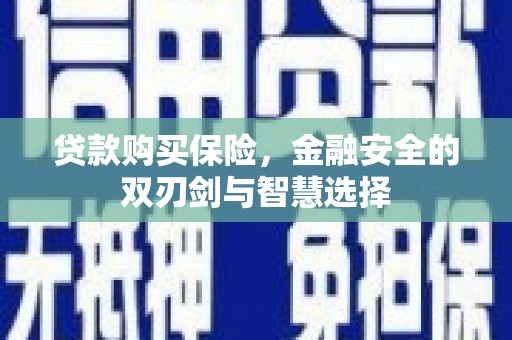 柳南贷款购买保险，金融安全的双刃剑与智慧选择
