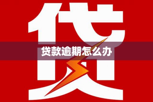 柳南贷款逾期怎么办