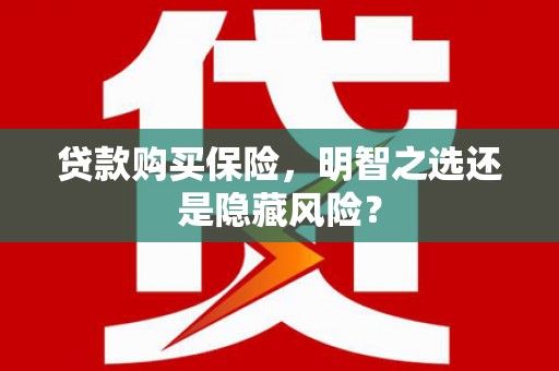 柳南贷款购买保险，明智之选还是隐藏风险？