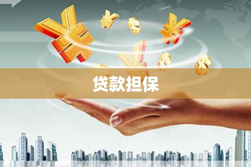 柳南贷款担保