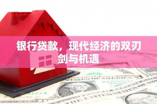 柳南银行贷款，现代经济的双刃剑与机遇