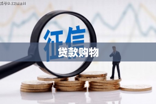 柳南贷款购物