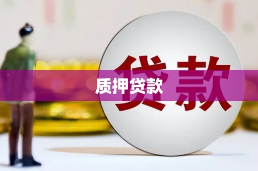柳南质押贷款