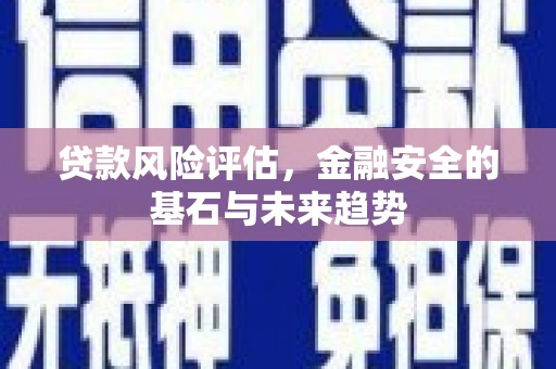 柳南贷款风险评估，金融安全的基石与未来趋势