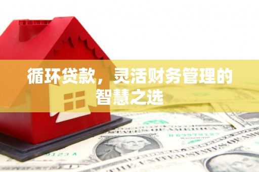 柳南循环贷款，灵活财务管理的智慧之选