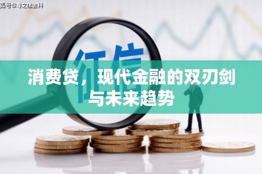 柳南消费贷，现代金融的双刃剑与未来趋势