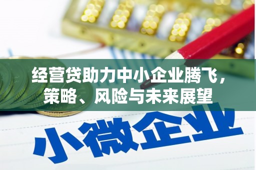 柳南经营贷助力中小企业腾飞，策略、风险与未来展望