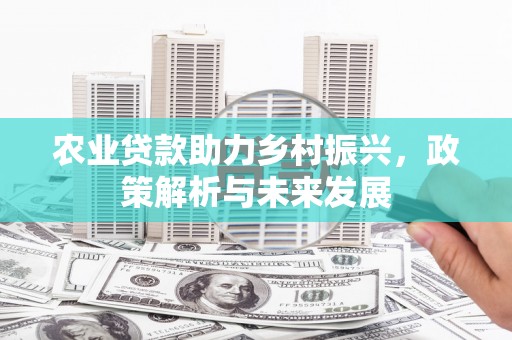 柳南农业贷款助力乡村振兴，政策解析与未来发展