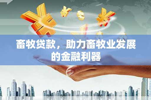 柳南畜牧贷款，助力畜牧业发展的金融利器