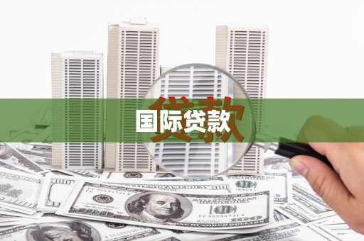 柳南国际贷款