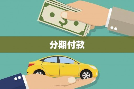 柳南分期付款