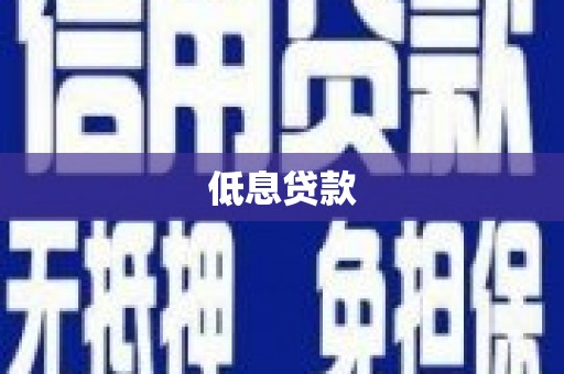柳南低息贷款