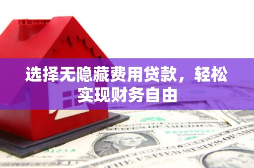 柳南选择无隐藏费用贷款，轻松实现财务自由