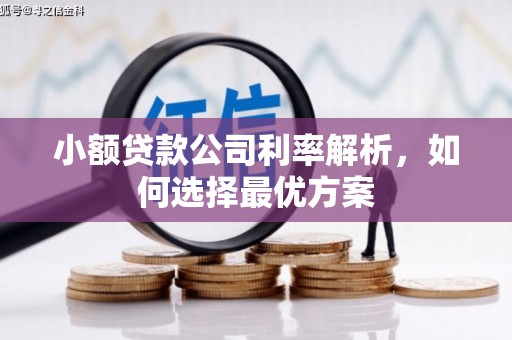 柳南小额贷款公司利率解析，如何选择最优方案