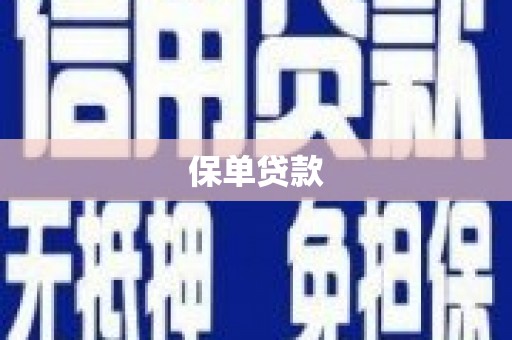 柳南保单贷款