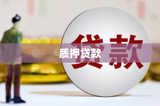 柳南质押贷款