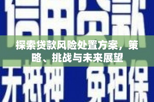 柳南探索贷款风险处置方案，策略、挑战与未来展望