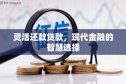 柳南灵活还款贷款，现代金融的智慧选择