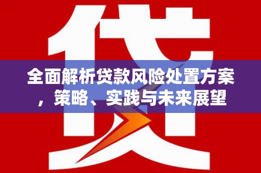 柳南全面解析贷款风险处置方案，策略、实践与未来展望