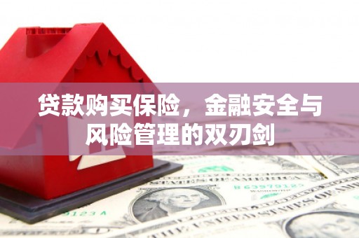 柳南贷款购买保险，金融安全与风险管理的双刃剑