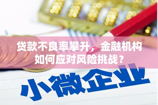 柳南贷款不良率攀升，金融机构如何应对风险挑战？