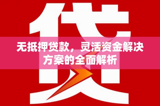 柳南无抵押贷款，灵活资金解决方案的全面解析